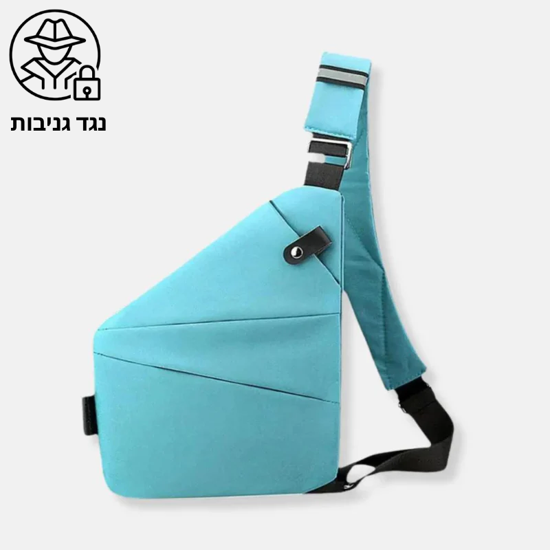 תיק פלייר נגד גניבות