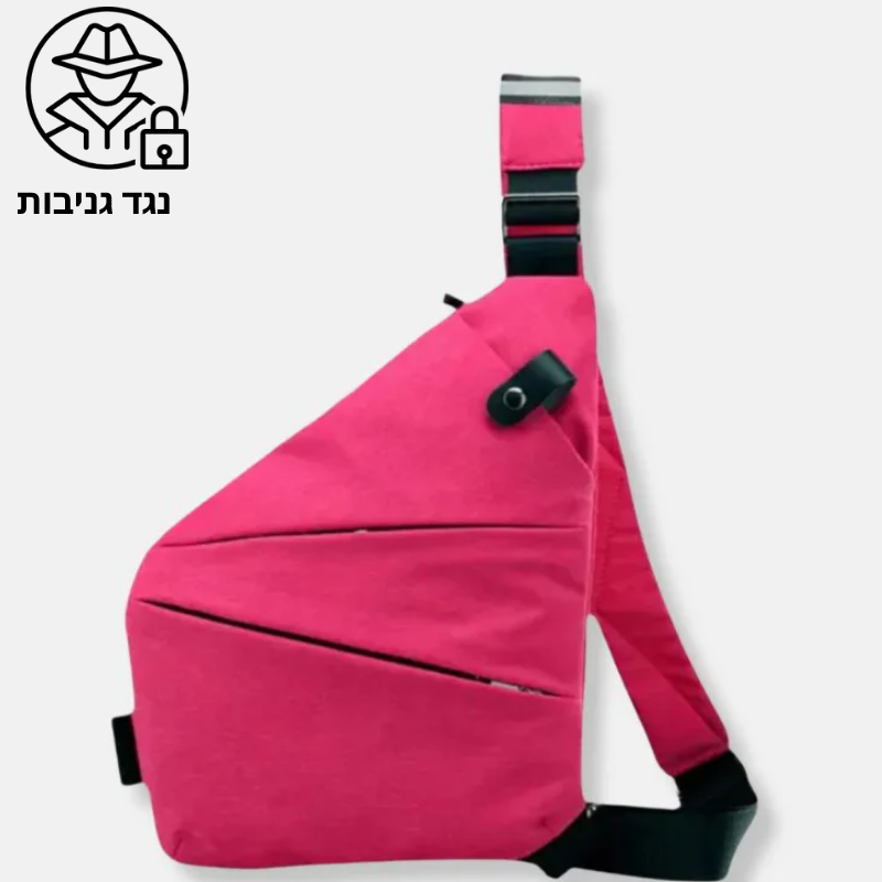 תיק פלייר נגד גניבות
