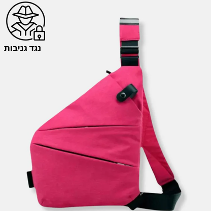 תיק פלייר נגד גניבות