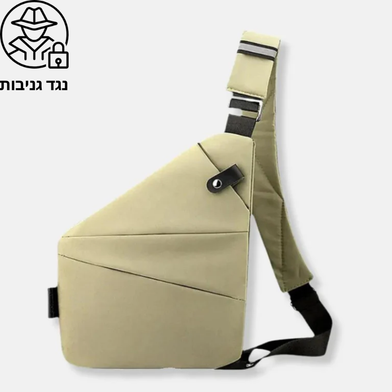 תיק פלייר נגד גניבות